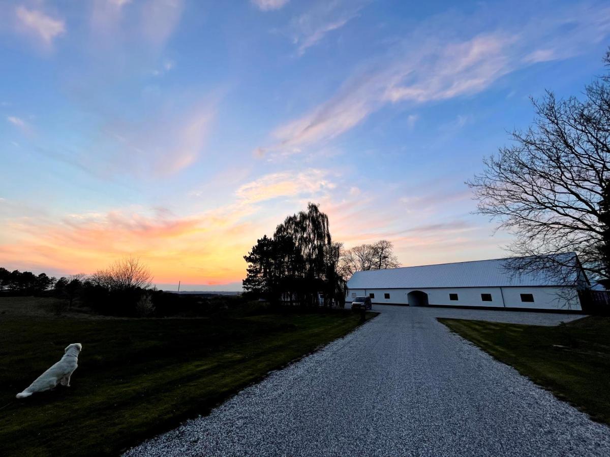 Essenbaekgaard B&B Assentoft エクステリア 写真